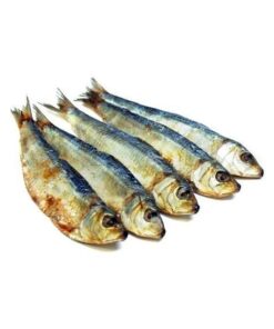 SARD PEIXE SALGADO BLD 10KG